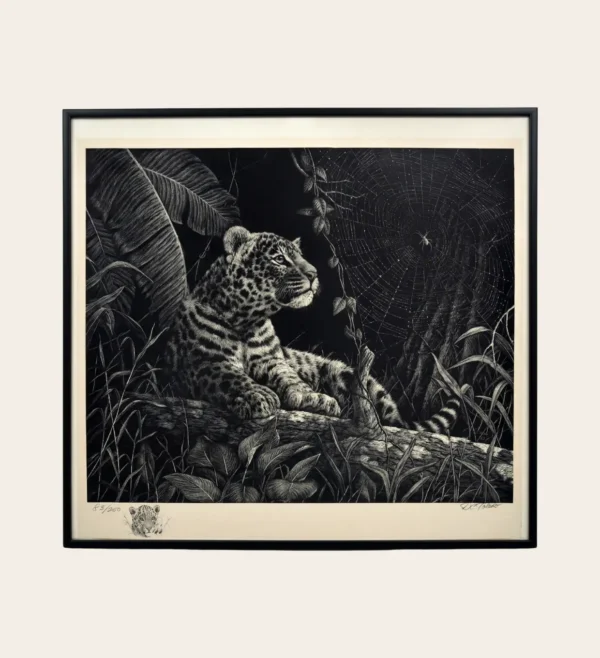Daniel C Toledo Leopard Cub and the Spider's Web scratchboard print 83 of 250 with remarque West 23 art gallery India