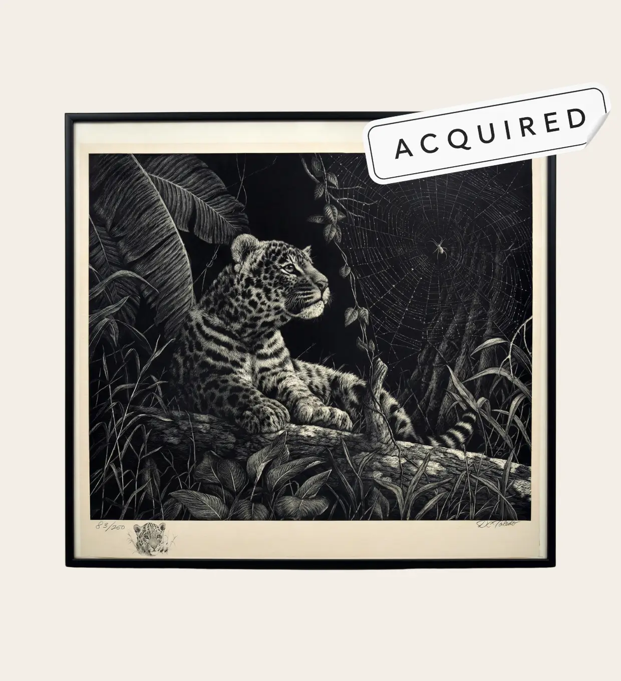 Leopard Cub and the Spider's Web